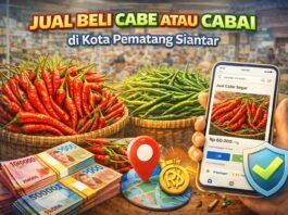 Jual Beli Cabe atau Cabai di Kota Pematang Siantar